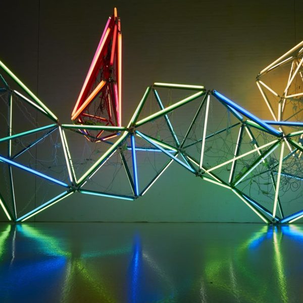 Carlos Coronas. Lampyridae, 2014. Tubos de neón, cables, estructura  madera. Instalación en el centro MAG de Elche
