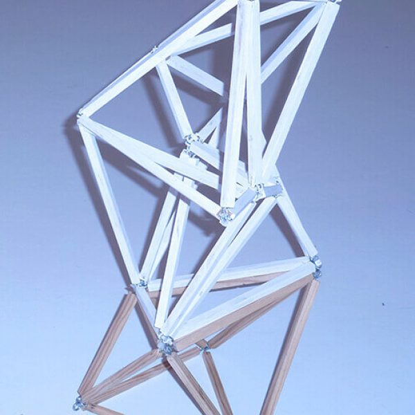 Carlos Coronas, Lampyridae, 2014. Maqueta Nº 4. Madera, tubos de neón, cables