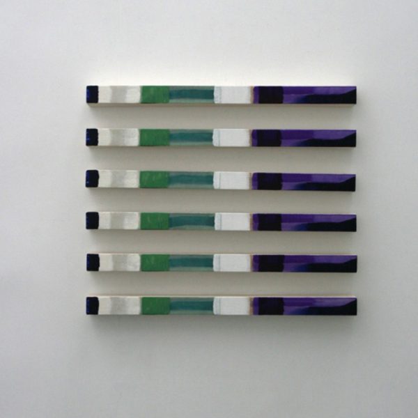 Plágaro. Cuadros Iguales, 2016. Técnica mixta sobre loneta montada en madera. Serie de 6 unidades. 77 x 7 x 5 cm unidad. Diferentes posiciones