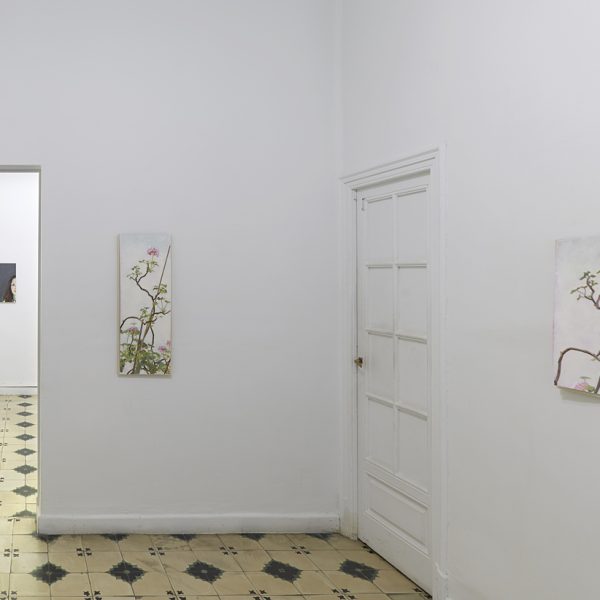 Algunas flores y un retrato. Vista de la exposición.