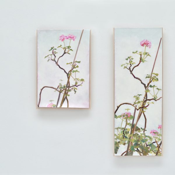 Wintergeraniums I y II, 2018. Óleo sobre lino  y tabla. 25 x 35,5 cm y 51,7 x 35,5 cm