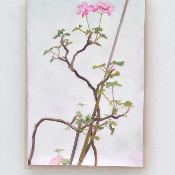Wintergeranie I, 2018. Óleo sobre lino y tabla. 25 x 35,5 cm
