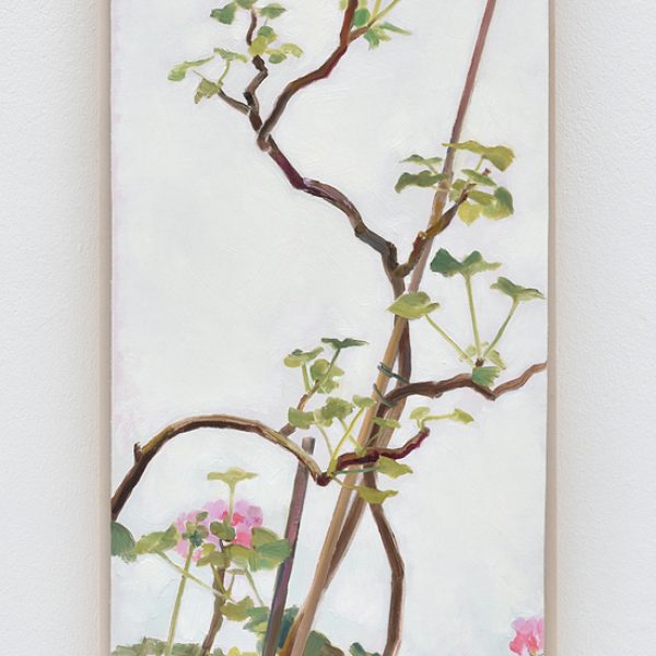 Wintergeranie II, 2018. Óleo sobre lino y tabla. 51,7 x 35,5 cm