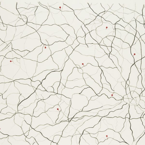 En busca de la artista desaparecida, 2007. Lápiz y acuarela. Litografía sobre papel. 90 x 61 cm