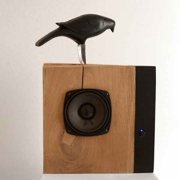 Adolfo Manzano. De la serie: Simulacros, Entre el eco del amor y la sombra de un pájaro, 2013. Madera de castaño, sistema de audio