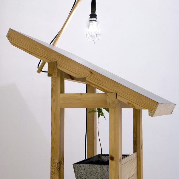 Adolfo Manzano. De la serie: Pequeñas nubes en el cielo, en el jardín susurros. 2010. Madera de pino norte, hierro galvanizado, plantón de roble y luz. 225 x 80 x 30 cm