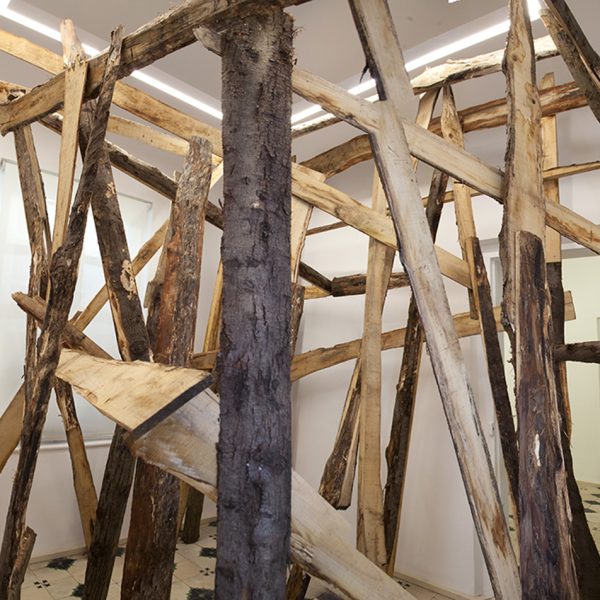 Adolfo Manzano. Evoluciones y Requexos. Instalación en la galería Caicoya. 2021