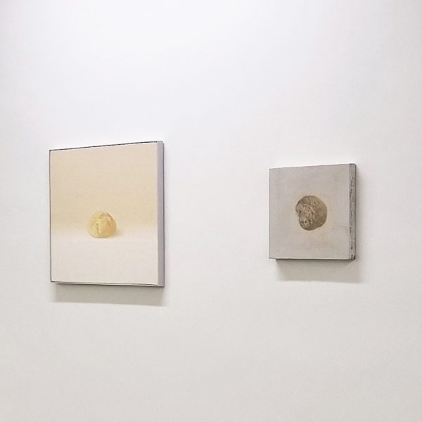 Miguel Galano / Juan Carlos Lázaro