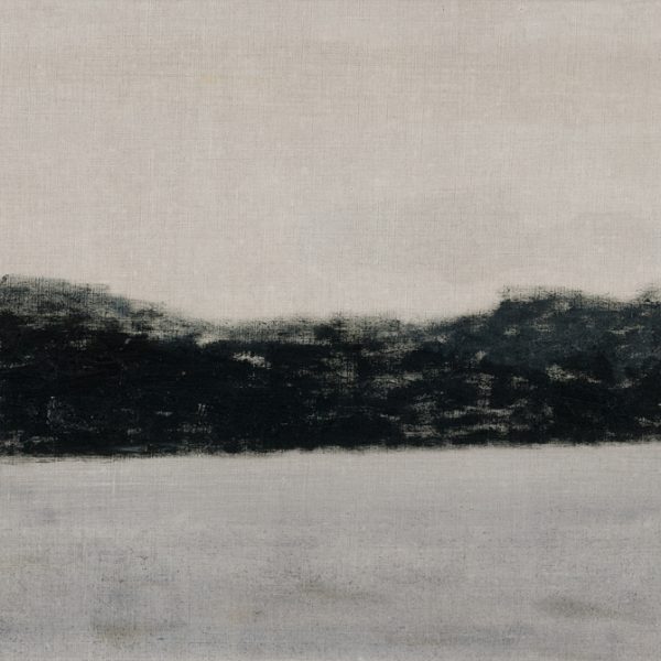 Galano. Tintipán, 2010. Óleo sobre lino. 46 x 55 cm