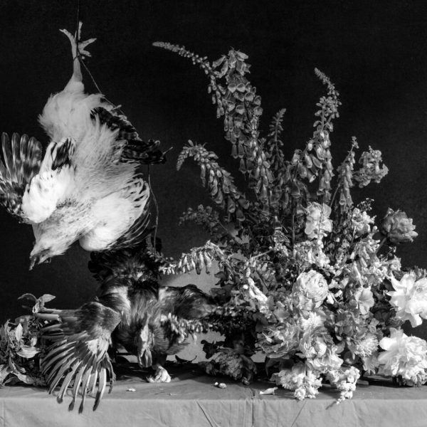Ricardo Villoria. Vanitas III, 2026. Impresión Giclée sobre papel Hahnemühle Photo Rag Baryta. 40 x 50 cm. Edición: 1/3