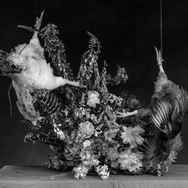 Ricardo Villoria. Vanitas I, 2026. Impresión Giclée sobre papel Hahnemühle Photo Rag Baryta. 110 x 137,5 cm. Edición: 1/3
