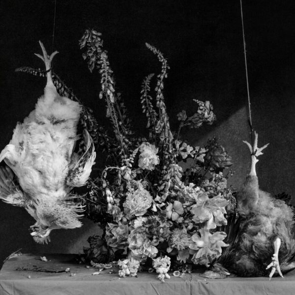 Ricardo Villoria. Vanitas II, 2026. Impresión Giclée sobre papel Hahnemühle Photo Rag Baryta. 110 x 137,5 cm. Edición: 1/3