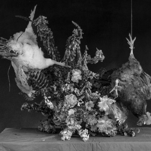Ricardo Villoria. Vanitas V, 2026 Impresión Giclée sobre papel Hahnemühle Photo Rag Baryta. 40 x 50 cm. Edición: 1/3