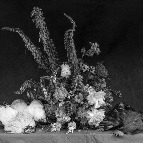 Ricardo Villoria. Vanitas VI, 2026. Impresión Giclée sobre papel Hahnemühle Photo Rag Baryta. 40 X 50 cm. Edición 1/3