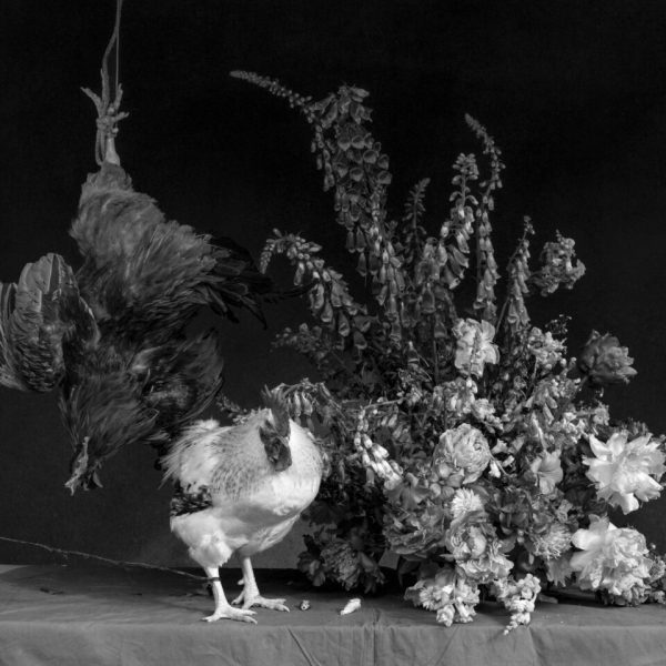 Ricardo Villoria. Vanitas IV, 2026. Impresión Giclée sobre papel Hahnemühle Photo Rag Baryta. 40 X 50 cm. Edición 1/3