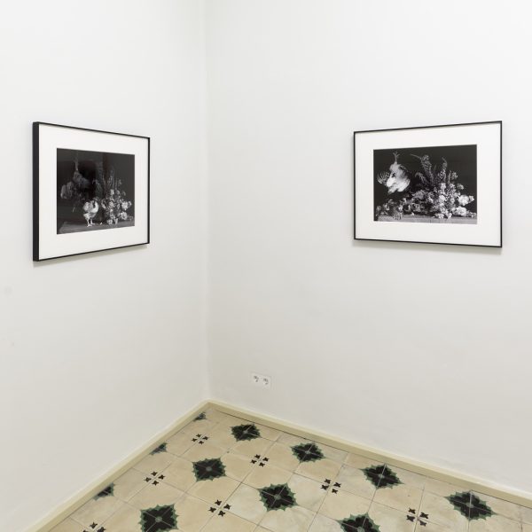 Ricardo Villoria. Vista de la exposición.