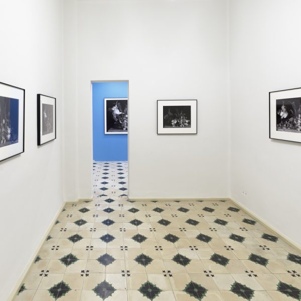 Ricardo Villoria. Vista de la exposición.