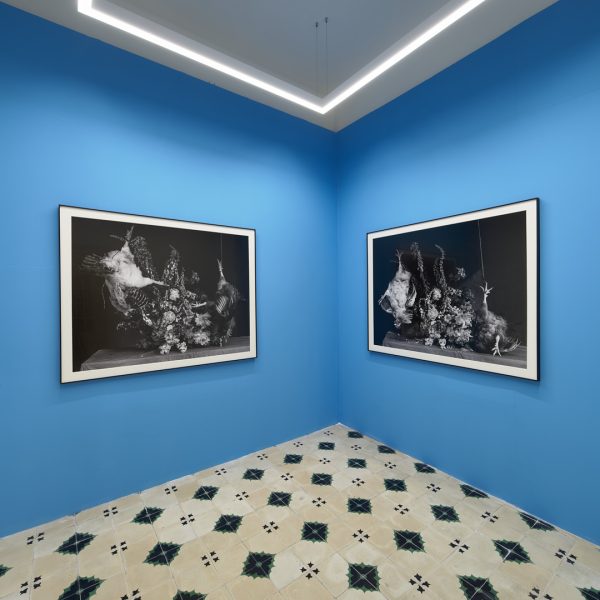 Ricardo Villoria. Vista de la exposición.