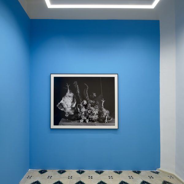 Ricardo Villoria. Vista de la exposición.