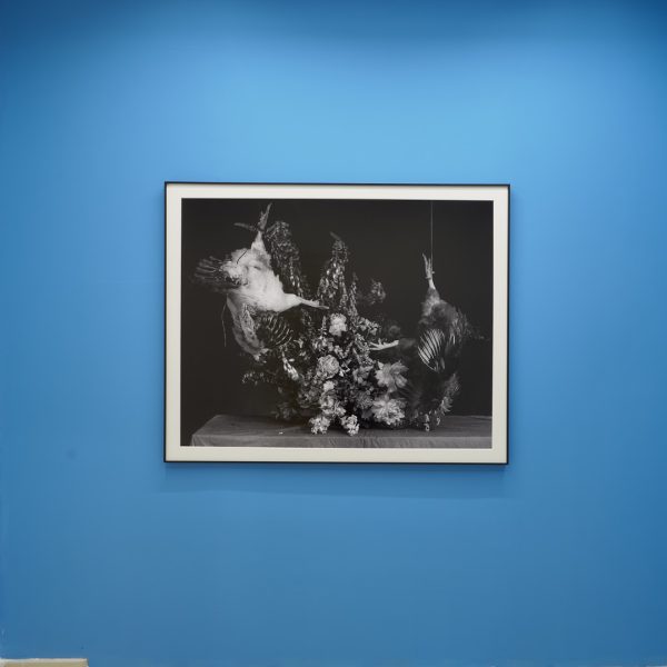Ricardo Villoria. Vista de la exposición.