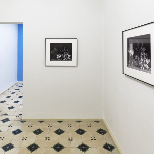 Ricardo Villoria. Vista de la exposición.
