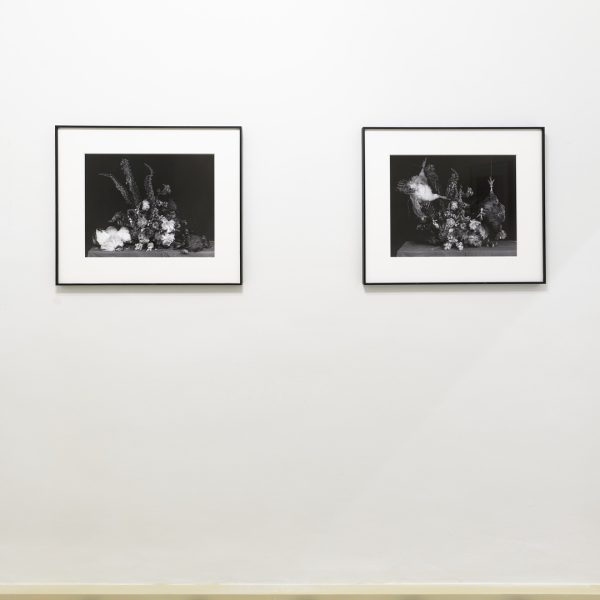 Ricardo Villoria. Vista de la exposición.