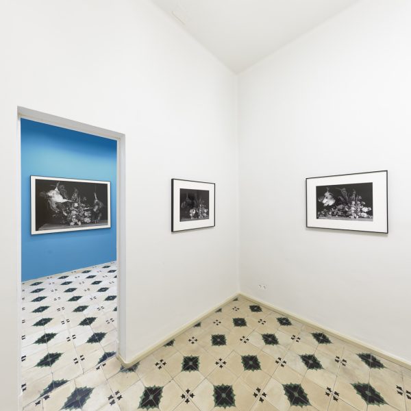 Ricardo Villoria. Vista de la exposición.