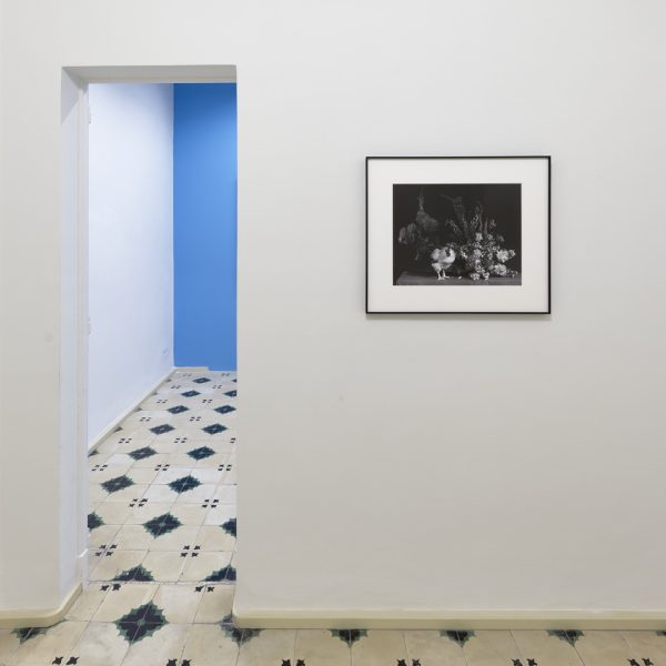 Ricardo Villoria. Vista de la exposición.