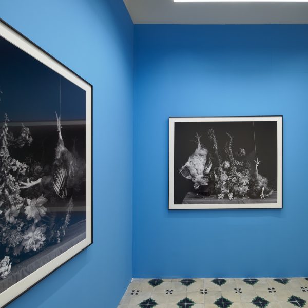 Ricardo Villoria. Vista de la exposición.